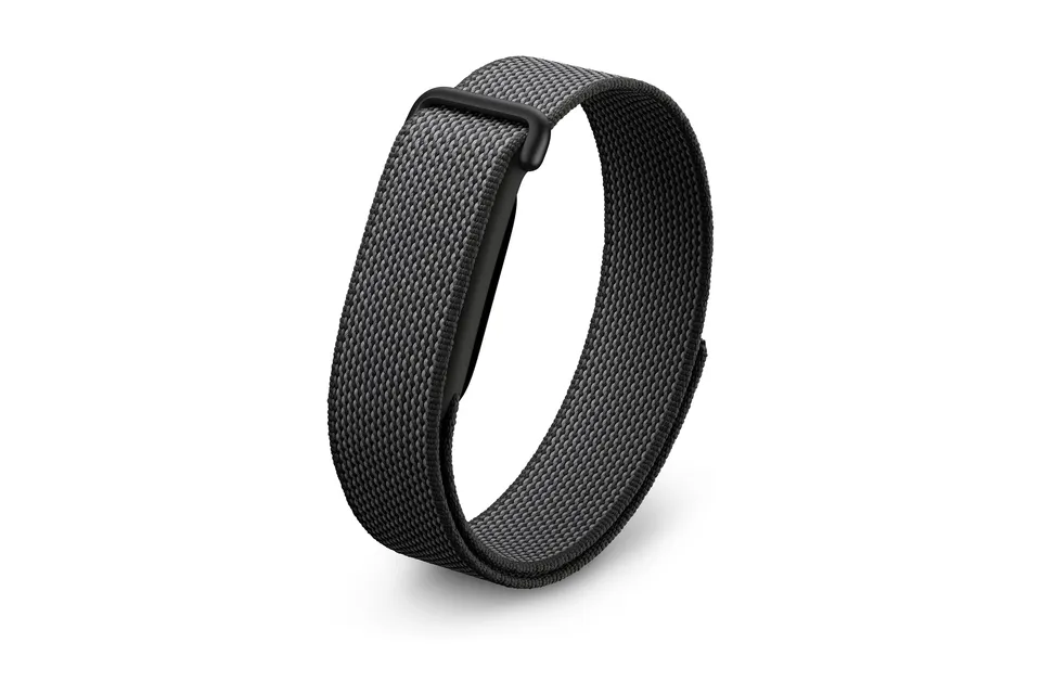Google Fitbit Air
