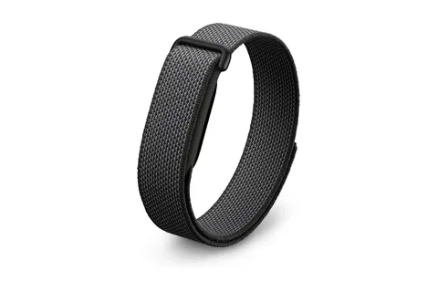 Google Fitbit Air